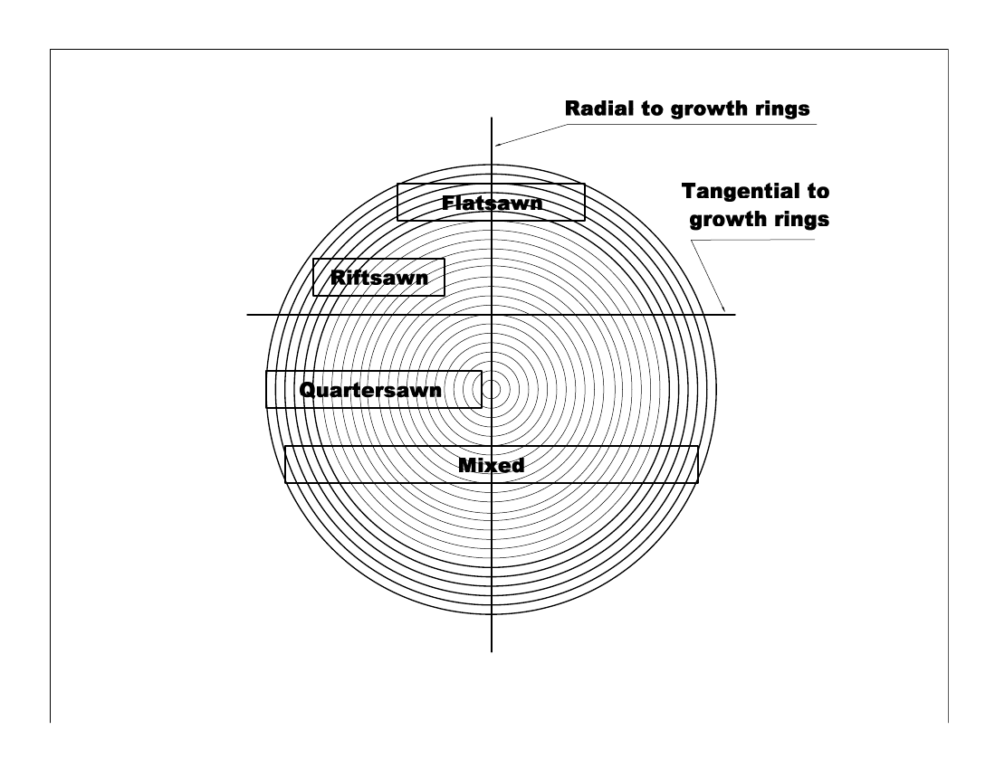 annual rings labeled