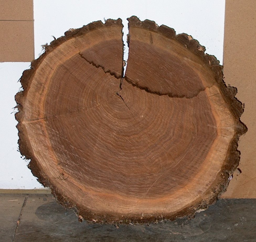 Woodwork Log Woodworking PDF Plans